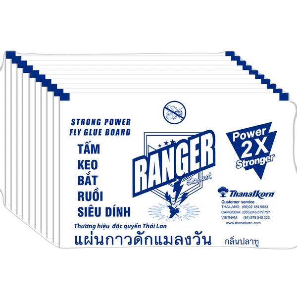 เรนเจอร์ สเก้าท์ แผ่นกาวดักแมลงวัน 4 ก. x 50
