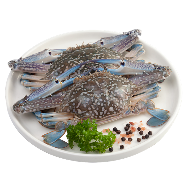 ปูม้าขนาด 2-4 ตัว/กก. 1 กก.