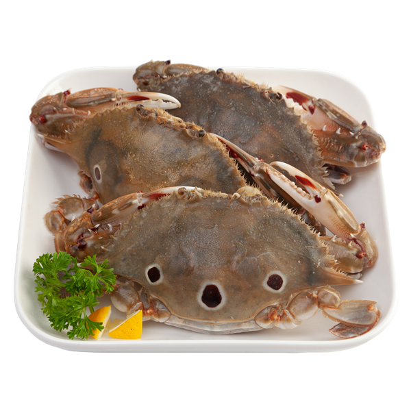 ปูดาวขนาด 8-10 ตัว/กก. 1 กก.