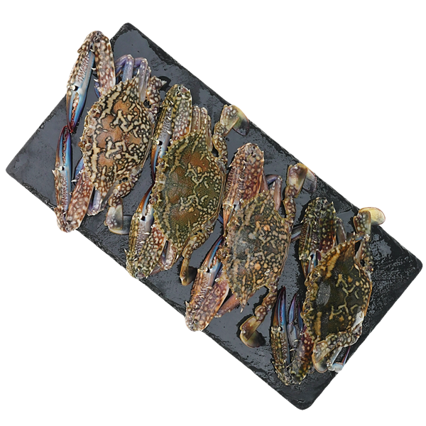 ปูม้าเพศเมียแช่แข็งขนาด 50-80 ก./ตัว 1 กก.