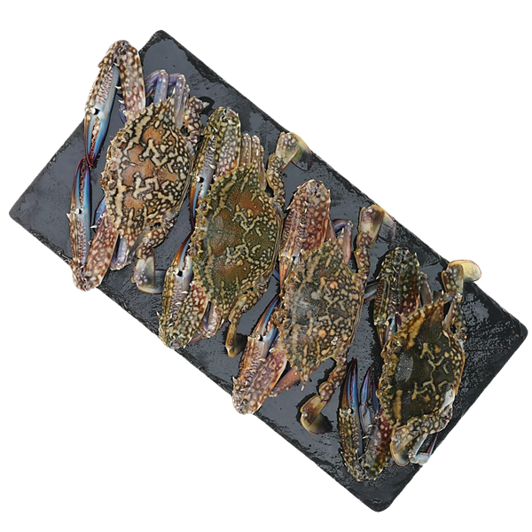 ปูม้าเพศเมียแช่แข็งขนาด 80-100 ก./ตัว 1 กก.