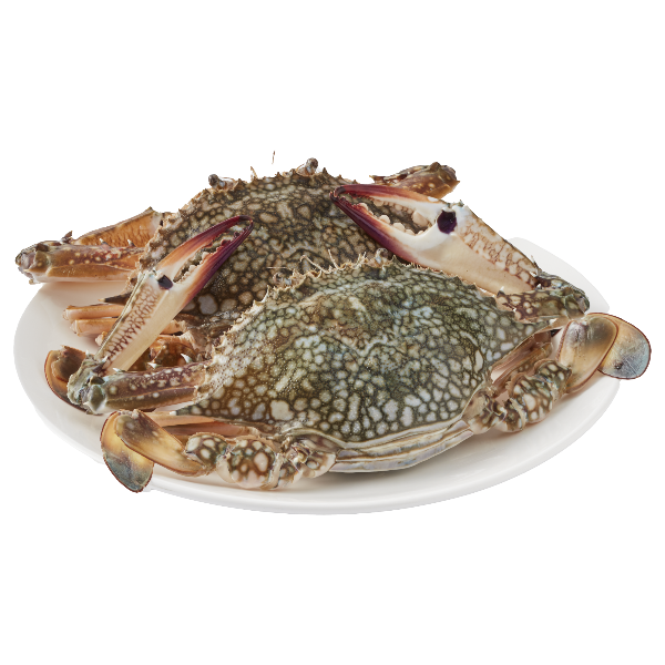 ปูม้าเพศเมียแช่แข็งขนาด 100-150 ก./ตัว 1 กก.