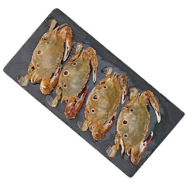 ปูดาวเพศเมียแช่แข็งขนาด 40-60 ก./ตัว 1 กก.