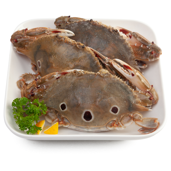 ปูดาวเพศเมียแช่แข็งขนาด 60-80 ก./ตัว 1 กก.