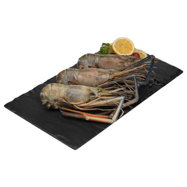 กุ้งแม่น้ำ ขนาด 2-4 ตัว/กก. 1 กก.