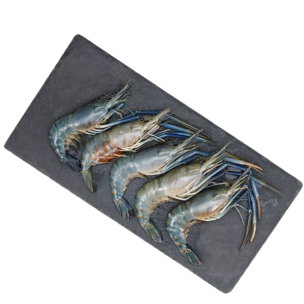 กุ้งนาง ขนาด 30-40 ตัว/กก. 1 กก.