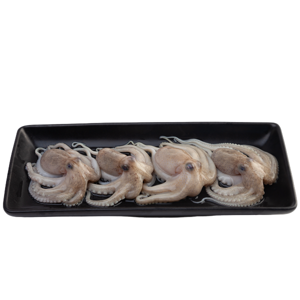 หมึกสาย ขนาด 15-20 ตัว/กก. 1 กก.