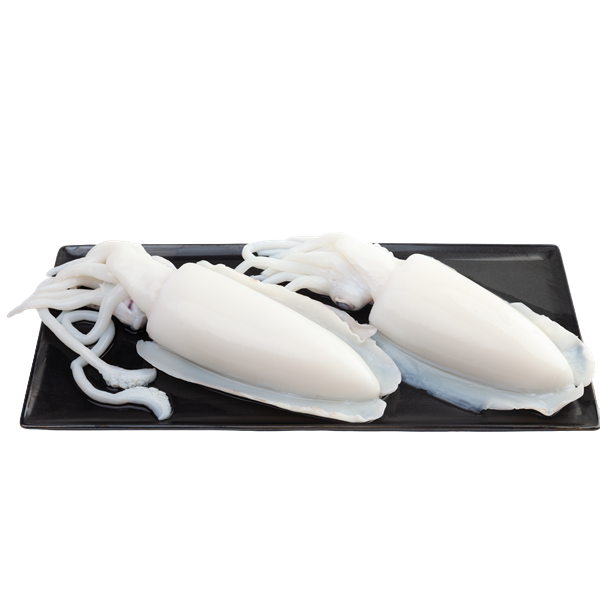 หมึกหอมลอก ขนาดกลาง 1 กก.