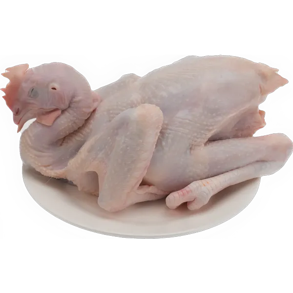 ไก่ไทยแช่แข็ง ขนาด 1.5-1.7 กก./ตัว