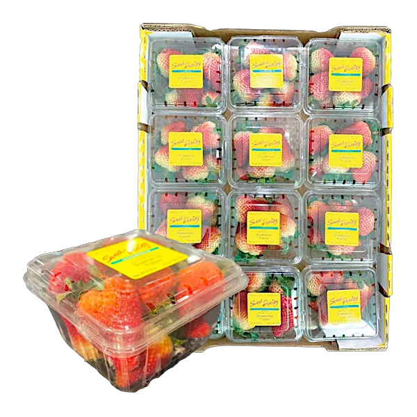 สตรอว์เบอร์รี อเมริกา แพ็ค 250 ก. x 12