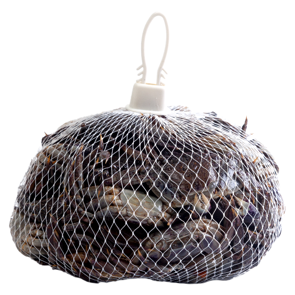 ปูแสมถุงตาข่าย